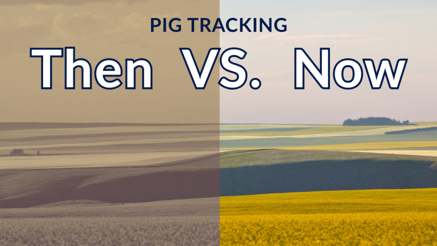 Pig tracking then vs now